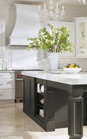 Your Kitchen Is The Heart Of Your Home Make It Feel That Way By Creating A Kitchen That Suits Your Style Buy Kitchen Cabinets Omega Cabinetry Kitchen Remodel