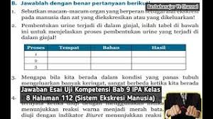 Suatu sistem yang berfungsi untuk menyalurkan zat soal no.1 (un 2014). Soal Essay Tentang Peredaran Darah Pada Manusia Lukisan