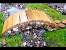 Forest Wooden Bridge