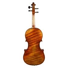 Image result for foto violin