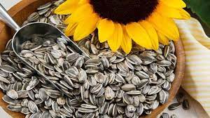 Kebanyakan kuaci diolah dari biji bunga matahari yang dikeringkan dan diasinkan, akan tetapi ternyata produk kuaci juga bisa dihasilkan dari di dalam kuaci, baik itu yang berasal dari biji bunga matahari, biji semangka, maupun biji waluh memiliki berbagai kandungan nutrisi yang sangat. Meski Kecil Biji Bunga Matahari Miliki Segudang Manfaat Sehat Health Liputan6 Com