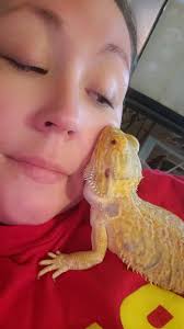 Rocko my sweet boy ❤️🐲 and Juice my spicy boy 🔥🐲 anyone else have polar  opposite babies? I have removed that plant from Juice's home, this photo  was taken when he joined