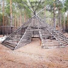 Unbelievable Primitive Houses And Bushwhack Ideas Engineering Basic Bushcraft Shelter Bushcraft Outdoor