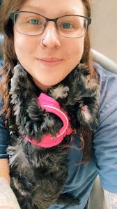 Willow (Yorkichon) and Wilber (Yorki)