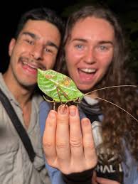 Nick Volpe (@nvolpe.wild) • Instagram photos and videos