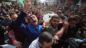 Ada balai raya yang terbuka untuk semua masyarakat setempat, manakala ada juga yang khusus untuk kumpulan tertentu, misalnya pusat islam atau kelab belia. The Latest Gaza Death Toll Rises To 24 Al Jazeera English Facebook
