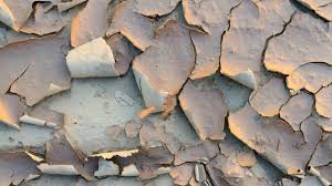 Image result for Dry Skin