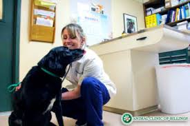 Marty becker, known as america's veterinarian. you may have seen him on shows like dr. Affordable Spay Neuter Services Animal Clinic Of Billings