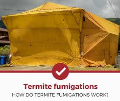 Here you may to know how to treat termites. How Do Termite Fumigations Work A Homeowner S Guide Pest Strategies
