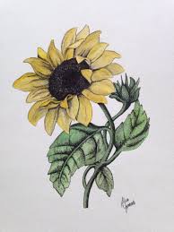 Techniques And Strategies For Drawing Hair Drawinghair Sunflower Drawing Watercolor Sunflower Watercolor Sunflower Sunflower Drawing Sunflower Art