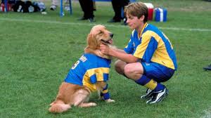 Streaming at 123movies.mom online free, a young boy named josh and bud, a talented stray dog with an amazing basketball playing ability, become instant friends. Air Bud 3 World Pup Movies On Google Play