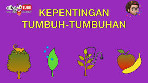 Maybe you would like to learn more about one of these? Sains Tahun 2 Kepentingan Tumbuh Tumbuhan Cikgootube Cikguzoul Youtube