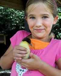 Photo Gallery: Rolling Ridge Ranch a Petting Zoo