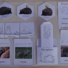 Jedes lapbook ist individuell, keines gleicht dem anderen. Lapbook Arktis Zaubereinmaleins Shop