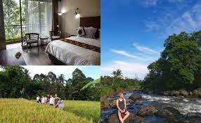 Keren 30 Villa Pemandangan Indah 7 Penginapan Murah Di Bogor Dengan Pemandangan Alam Keren Di Download Villa Tania Kolam Renan Di 2020 Pemandangan Penginapan Alam