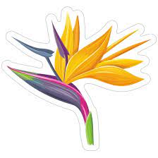 Bird Of Paradise Flower Sticker Birds Of Paradise Flower Birds Of Paradise Unique Sticker