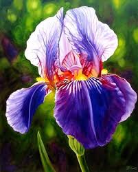 Pin On Flowers