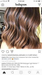 Pin By Lindsey Hewes On Toners Hair Color Formulas Matrix Hair Color Chestnut Hair Color