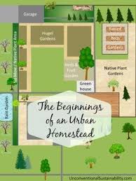 The Beginnings Of An Urban Homestead Urban Homesteading Homesteading Urban Farming