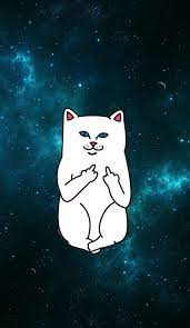 Free middle finger wallpapers and middle finger backgrounds for your computer desktop. Pin Di Ripndip
