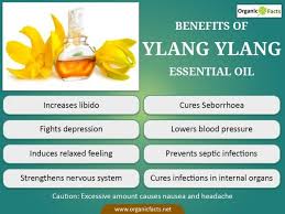 Pin On Essential Oils