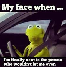 #animal #columbia #crane #family guy #fozzie #gag #gonzo #henson #jim #kermit #logo #miss #muppets #pictures #piggy #plastered #sesame #sorry #wacka. Kermit Driving Funny Quotes Facebook Quotesgram