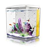 So housing them in a stylish modern tank is a really good idea. Top 10 Best Of Fish Tank With Filter And Heaters 2021 Bestgamingpro