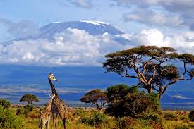 Make decisions like a pro by using our 61,718 reviews and 210 destination guides. White Hawk Safaris Home Facebook