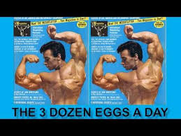 Why 36 Eggs Is Better Than A Steroid Cycle The 3 Dozen Eggs A Day Diet By Vince Gironda Youtube Steroids Cycles Fun Workouts Fitness Motivation