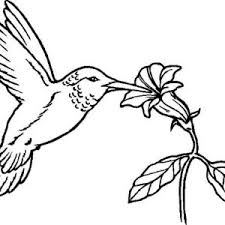 You can search several different ways, depending on what information you have available to enter in the site's search bar. Flowers Provide Nectar For Hummingbird To Eat On Hummingbird Coloring Page Kids Play Color