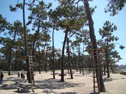 Parc Accrobranche Le Long De La Plage De Saint Georges De Didonne Pays Royannais Charente Maritime Touris Saint Georges De Didonne Tourisme Charente Maritime