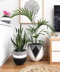 46 Plant Stand Ideas To Fill Your Living Room With Greenery You Will Love It Plantstand Plants Livin House Plants Decor Painted Plant Pots Plant Pot Design