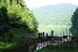 The maliau basin conservation area totals at 58,840 hectares in a class 1 protection forest reserve and is also known as sabah's lost world. Belum Forest Reserve Gowhere Malaysia