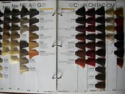 Guangzhou Haohui Hair Color Co Ltd Hair Color Chart
