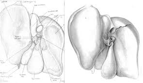 Diagrams are effective communication elements that can visualize and make others understand our concepts faster than anything else. Kelly Speck
