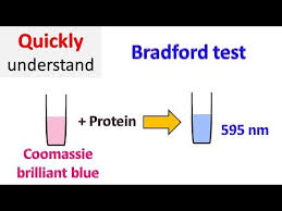 L'émission en replay et ses archives en réécoute sur france culture. Bradford Protein Assay Bradford Test Youtube