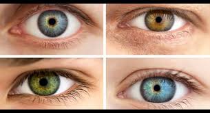 Over 145 trivia questions and answers about eyes and vision in our nervous system and the senses category. Can We Guess What Eye Color You Actually Want Quiz Quiz Accurate Personality Test Trivia Ultimate Game Questions Answers Quizzcreator Com