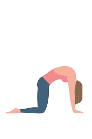 41 Top Cat Cow Pose Yoga Illustration Yoga Art Cat Cow Yoga Pose