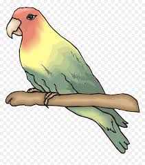 Cara merawat burung ciblek supaya cepat ngebren Sketsa Gambar Burung Lovebird Hd Png Download Vhv