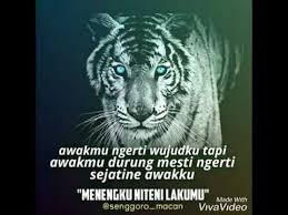 Check spelling or type a new query. Kumpulan Kata Kata Macan Putih Story Wa Kidung Wahyu Youtube