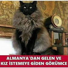 167 Begenme 2 Yorum Instagram Da Ferro Ferroofficial Istanbul Ankara Antalya Alanya Bodrum Fenerbahce Bes Komik Komik Resimler Komik Gifler