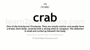 Crusta petrosa dentis pronunciation , crusta phlogistica pronunciation , crustacea pronunciation , crustacea research pronunciation. How To Pronounce Crab English Pronunciation Youtube