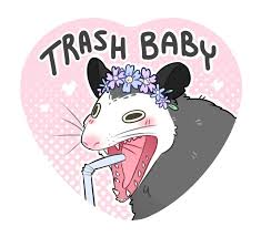 Pin By Ashley Thomas On It S Trash Can Not A Trash Cannot Cute Drawings Cute Art Opossum