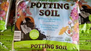 Maybe you would like to learn more about one of these? Dollar Tree Potting Soil Review Organic Harvest Potting Soil Youtube