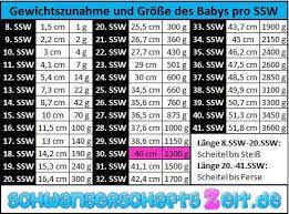 Durchschnittsgewicht zu beginn der 30. 30 Ssw Bauch Entwicklung Gewichtszunahme