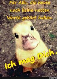 Pin Auf Andere Sachen