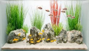 But, thanks to modern product innovation, as now you can mount even a fish tank on your wall. 28 Modern Fish Tanks That Inspire Relaxation