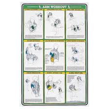 Self Instruction Weight Training Poster Arm Exercises