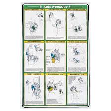 self instruction weight training poster arm exercises