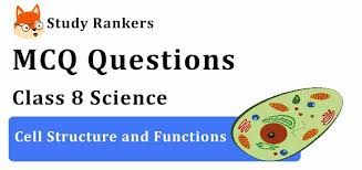 Plant cell and animal cell mcq. Mcq Questions For Class 8 Science Ch 8 Cell Structure And Functions